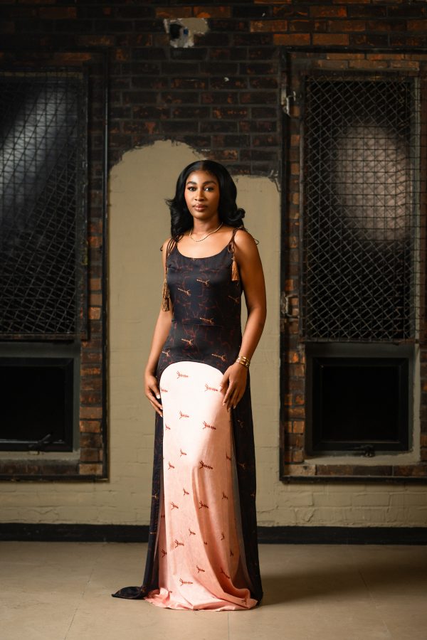 NEMI dress